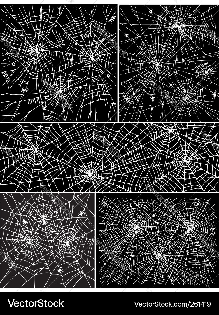 Spooky Web Pattern Vector Image