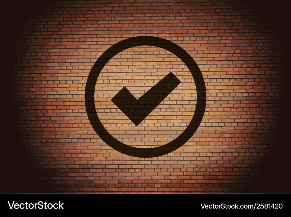 Check mark flat modern web button and space vector image