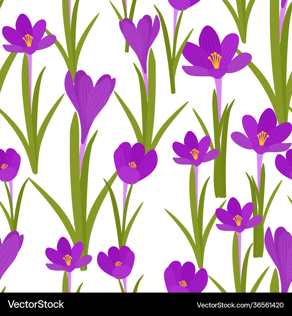 Seamless background with crocuses a repeating Vector Image
