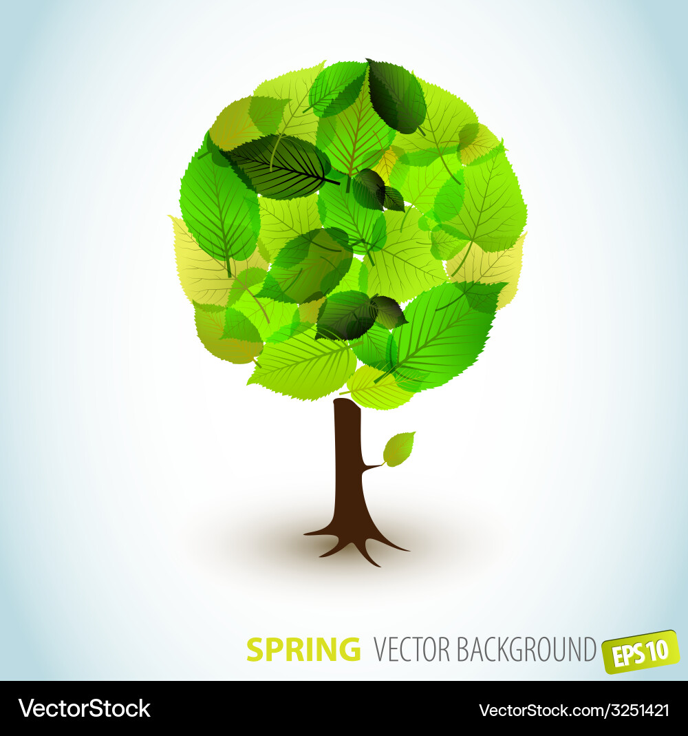Abstract spring tree Vector Image