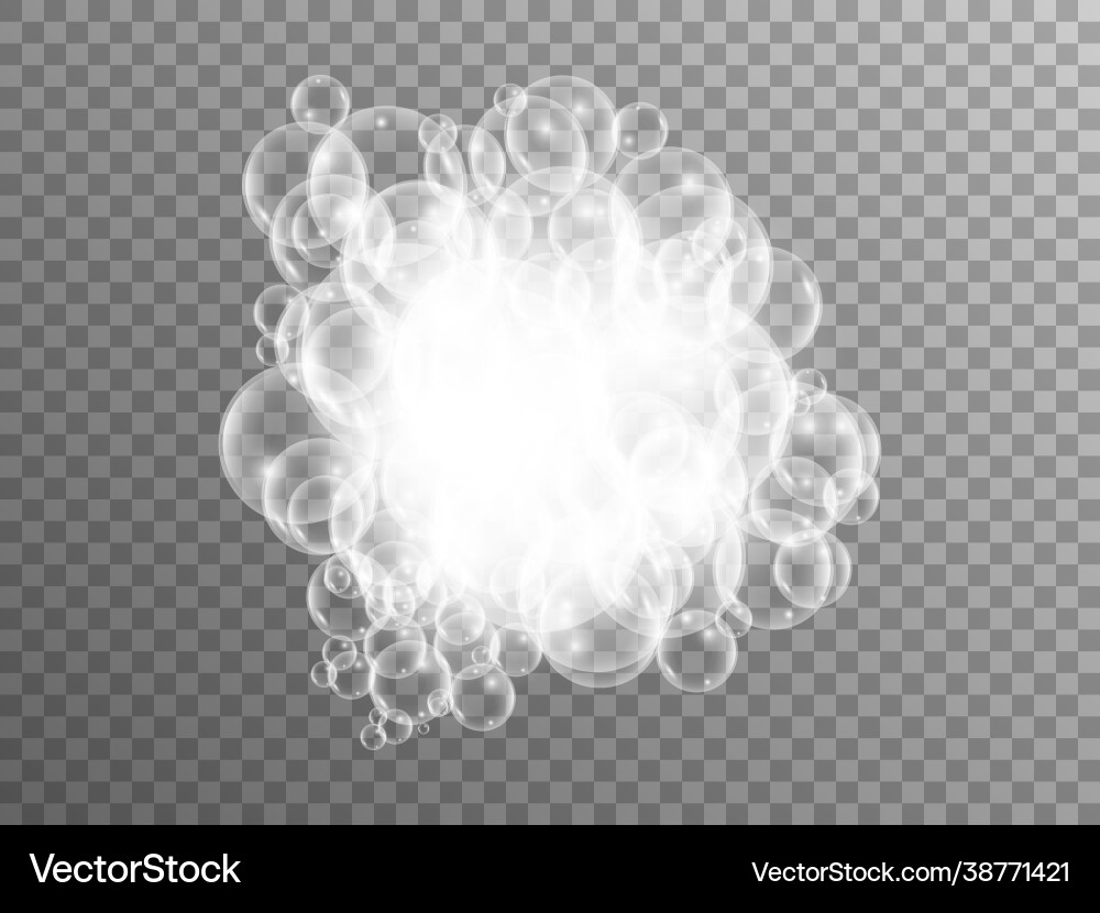 Foam bubble on transparent backdrop realistic Foam bubble on transparent backdrop realistic vector image