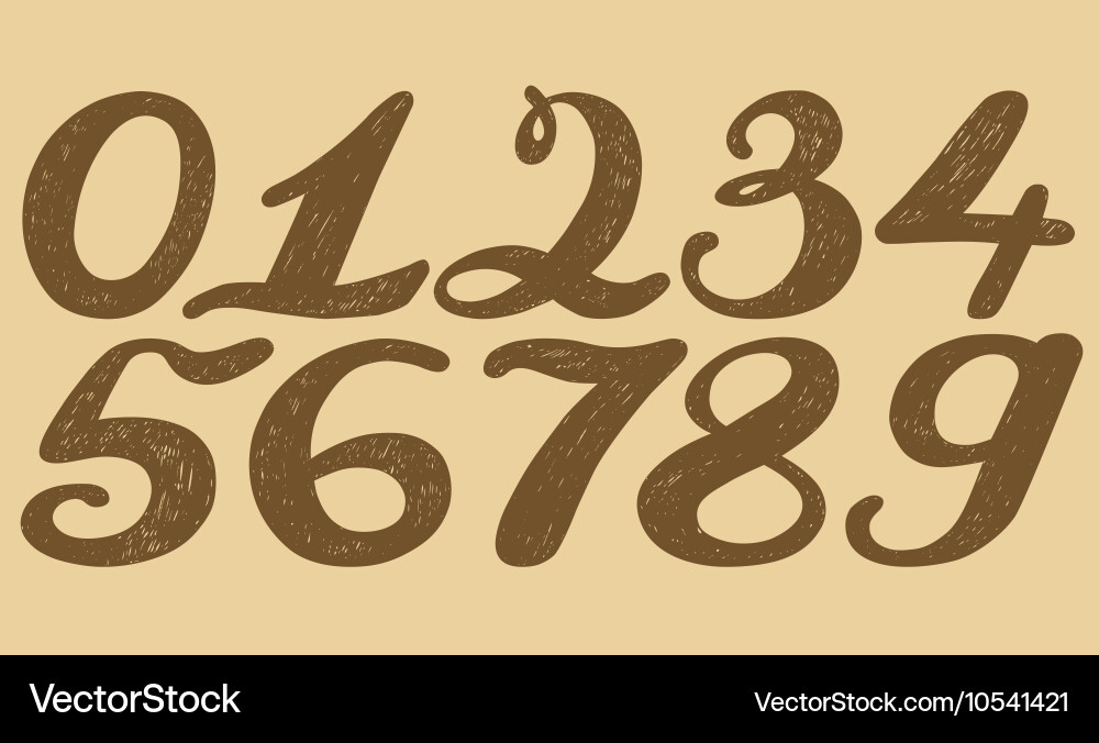 Numbers set in hand drawn calligraphy style Vector Image