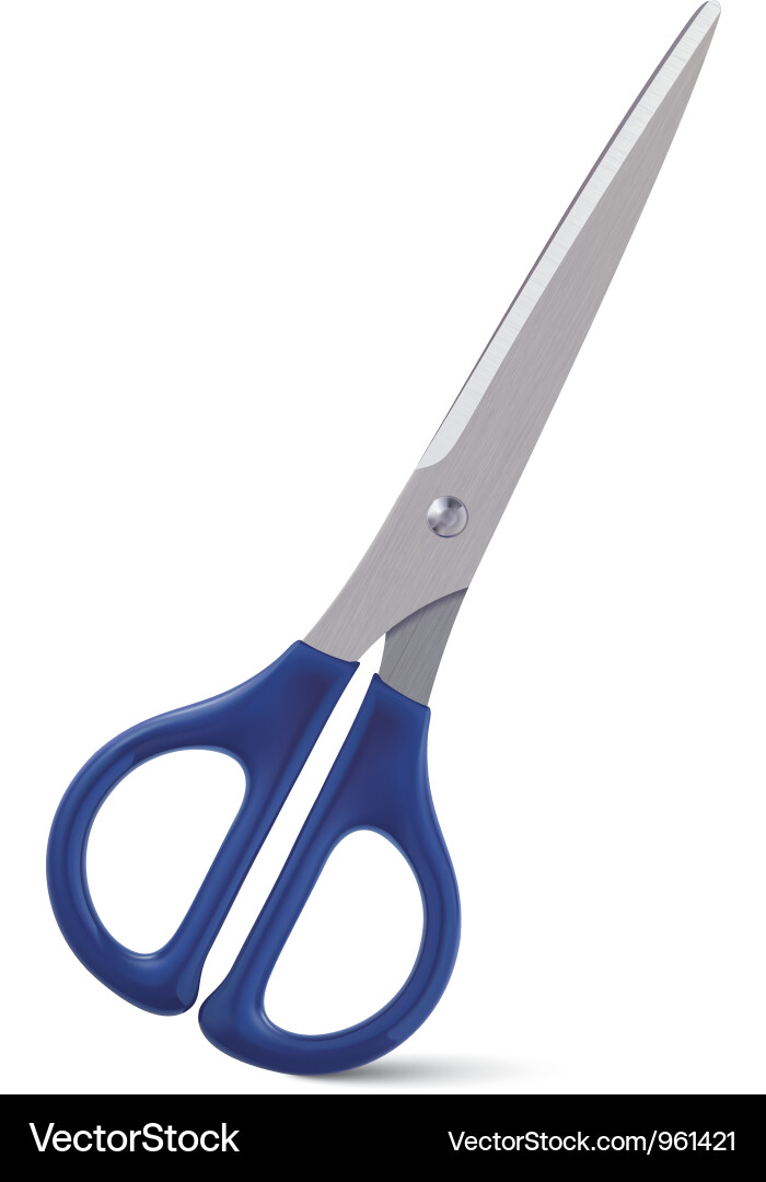 Scissors vector image