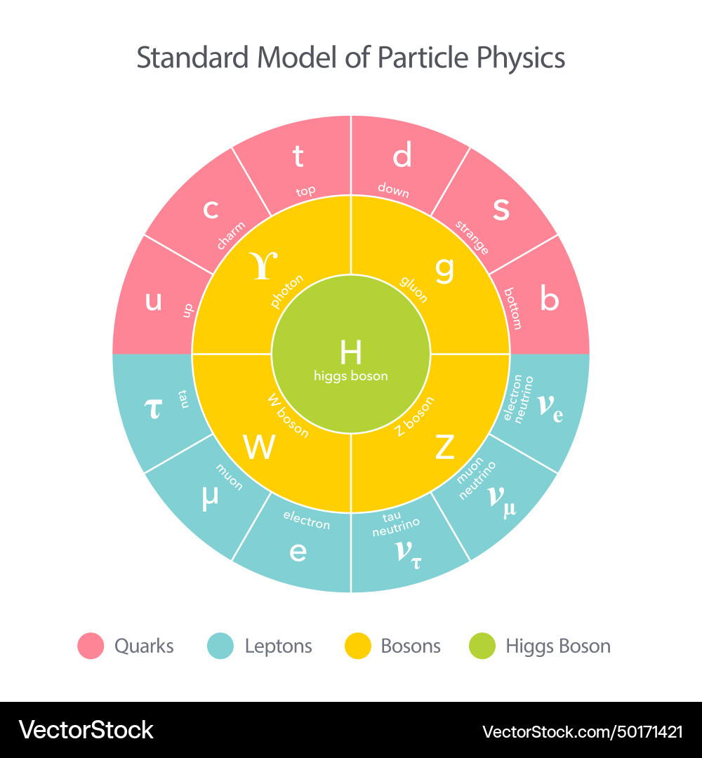 Standard Model of Particle Physics vector image
