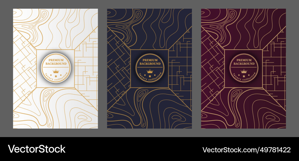 A luxurious pattern set of spectacular patterns A luxurious pattern set of spectacular patterns vector image
