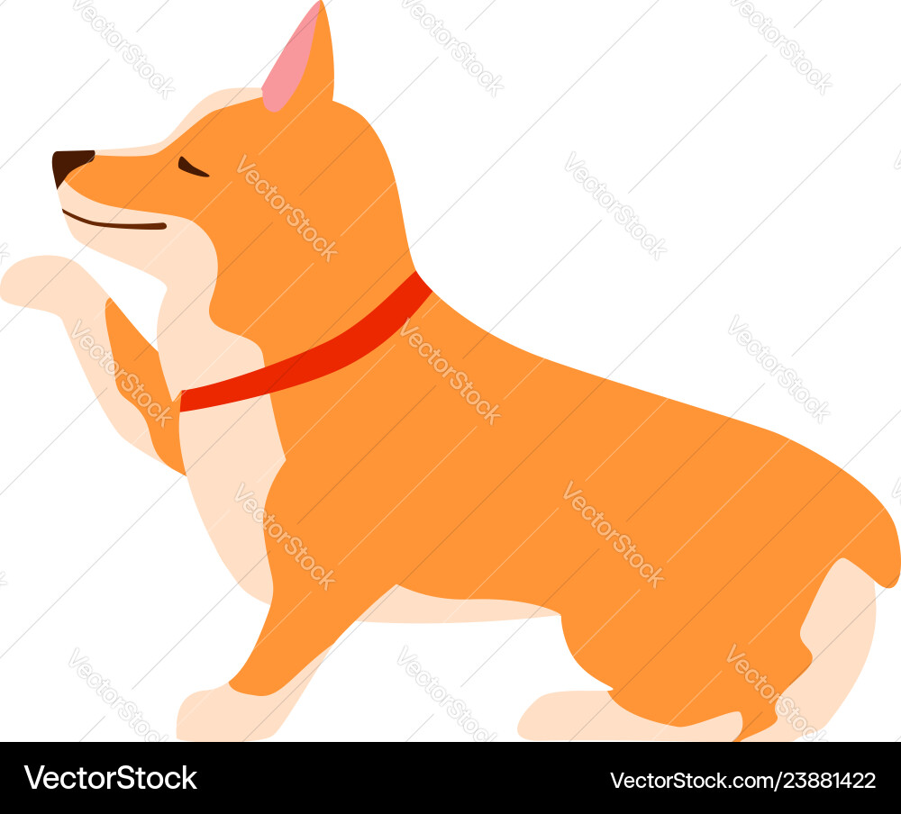 Happy cute dog welsh corgi puppy sits and gives Happy cute dog welsh corgi puppy sits and gives vector image