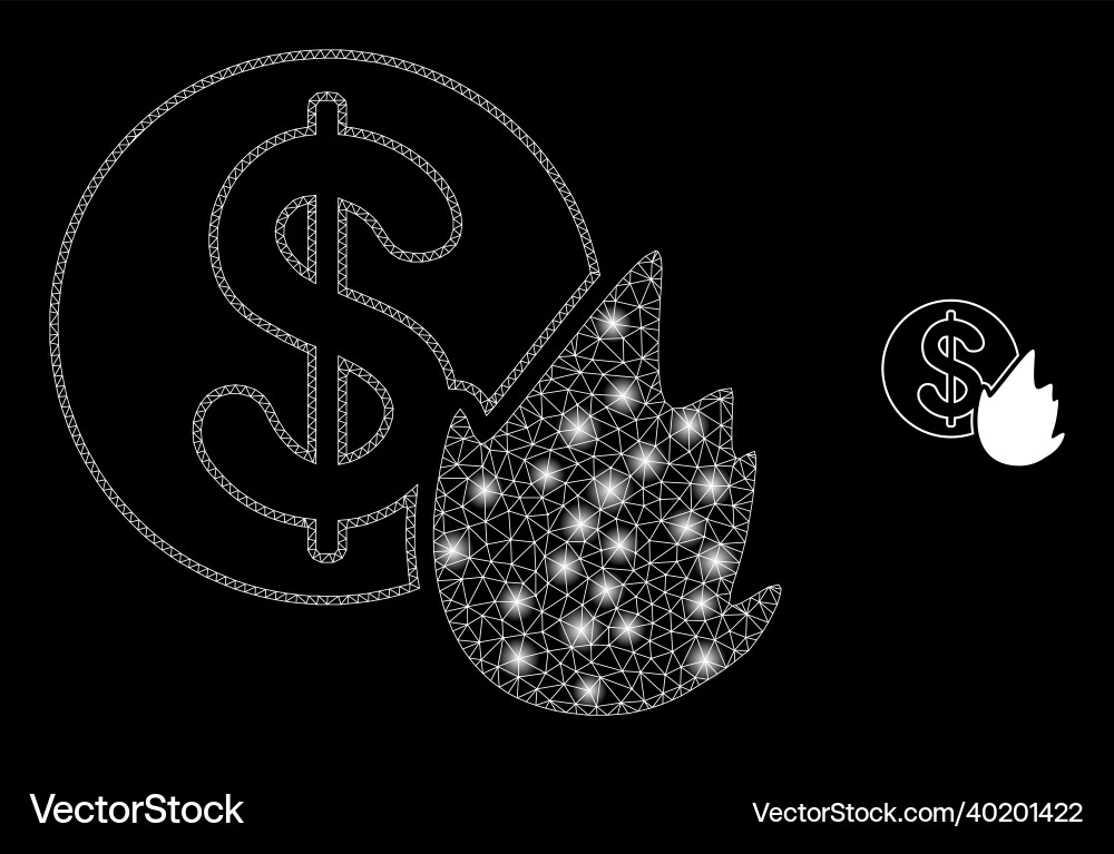 Mesh net fired money with shiny Mesh net fired money with shiny vector image