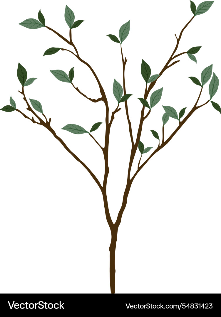 Elegant representation of a tree branch Elegant representation of a tree branch vector image