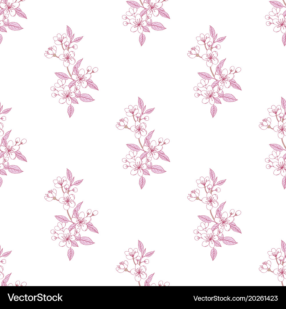 Seamless pattern with sakura Vector Image
