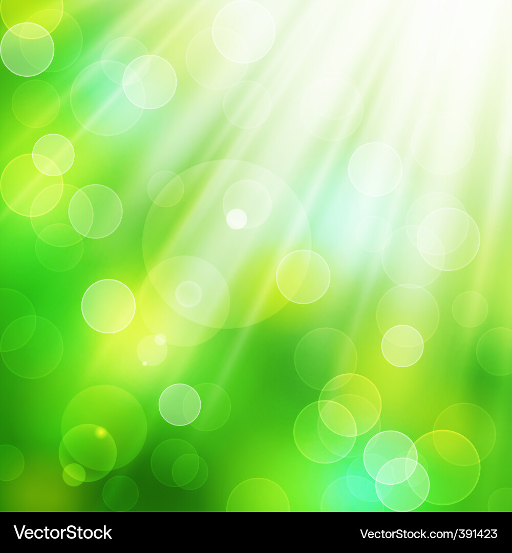 Sun Rays Through Leaves Vector Image