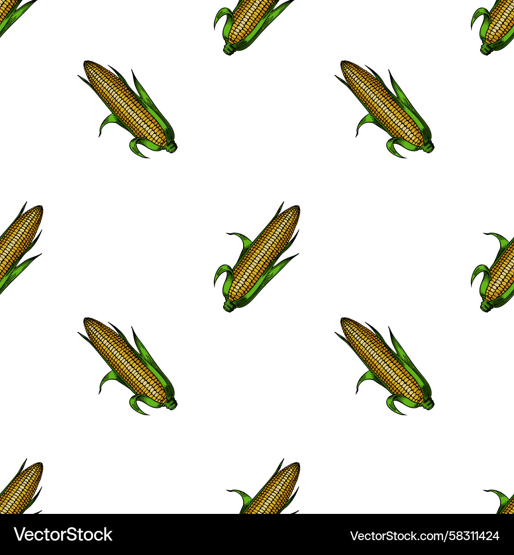 Corn on the Cob Pattern Vector Image