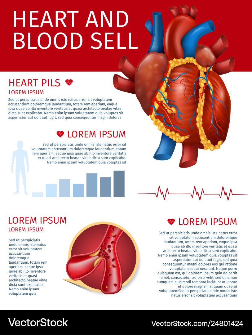 Realistic heart and blood sell banner with diagram Realistic heart and blood sell banner with diagram Vector Image