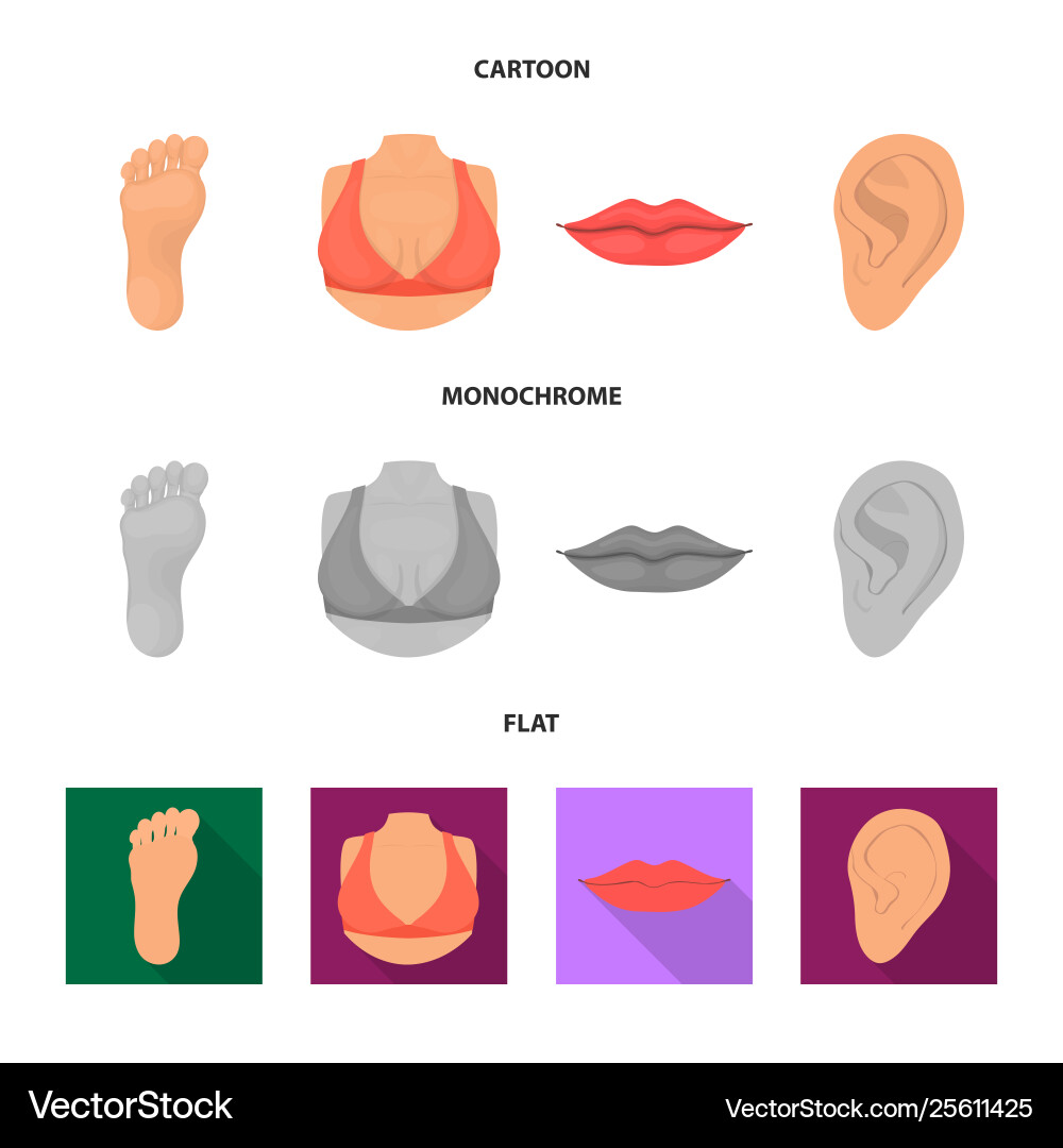 Design body and part sign set Design body and part sign set vector image