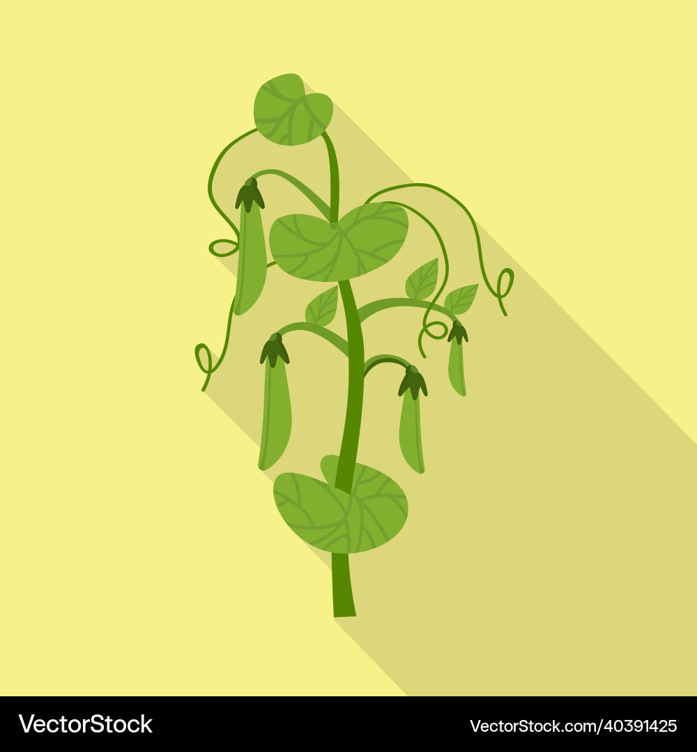 Isolated object of bush and peas symbol web Vector Image