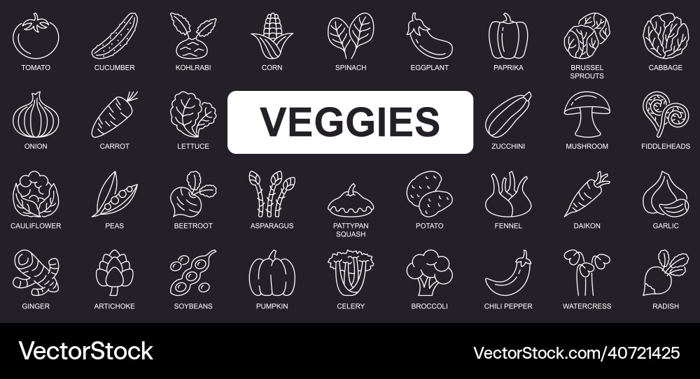 Veggies concept simple line icons set bundle Veggies concept simple line icons set bundle vector image