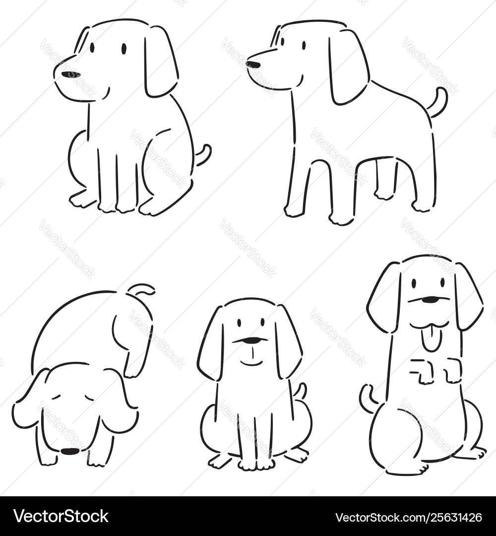 Set dog labrador retriever Set dog labrador retriever vector image