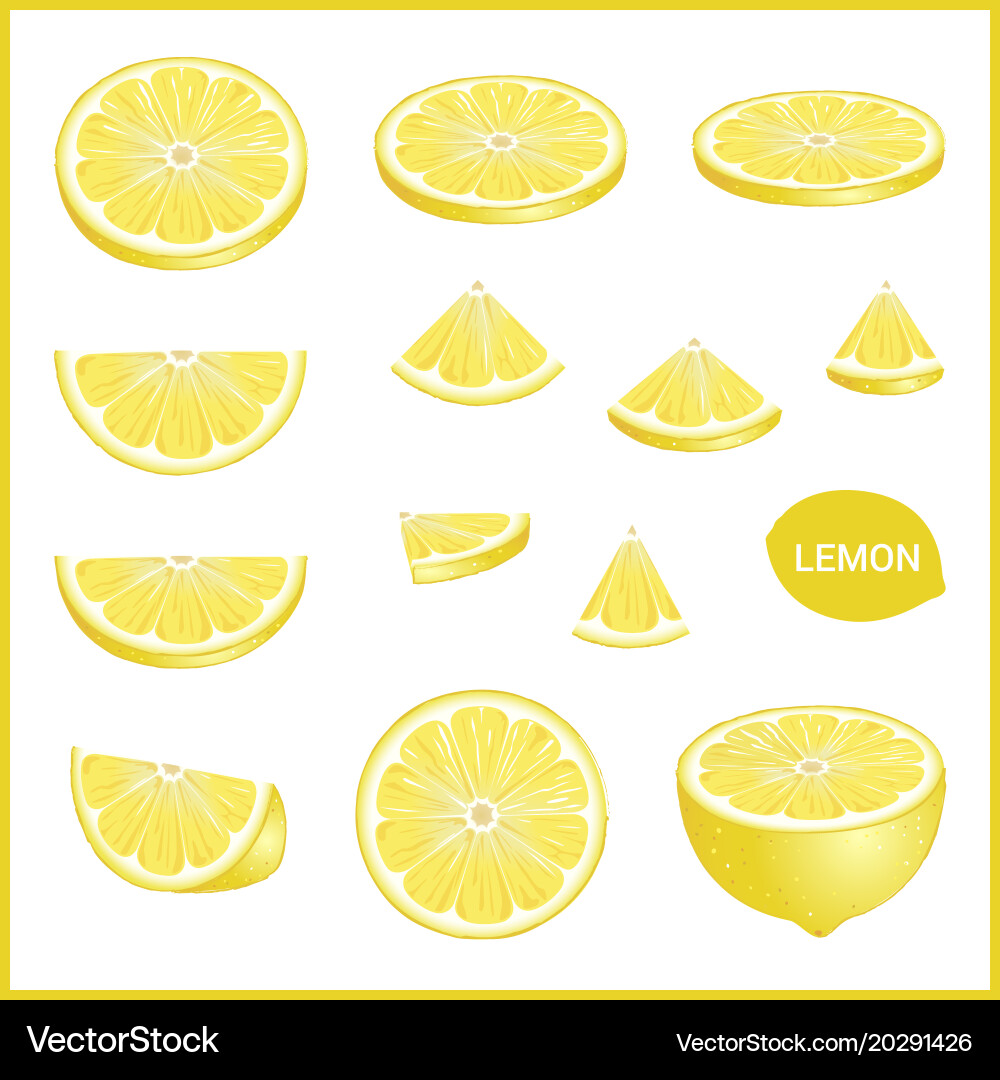Set of fresh yellow lemon in various slice styles Vector Image