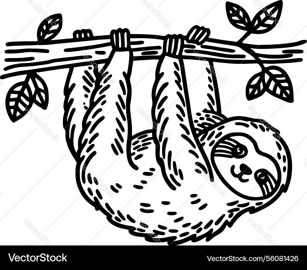 Smiling sloth hanging from branch intricate black Vector Image
