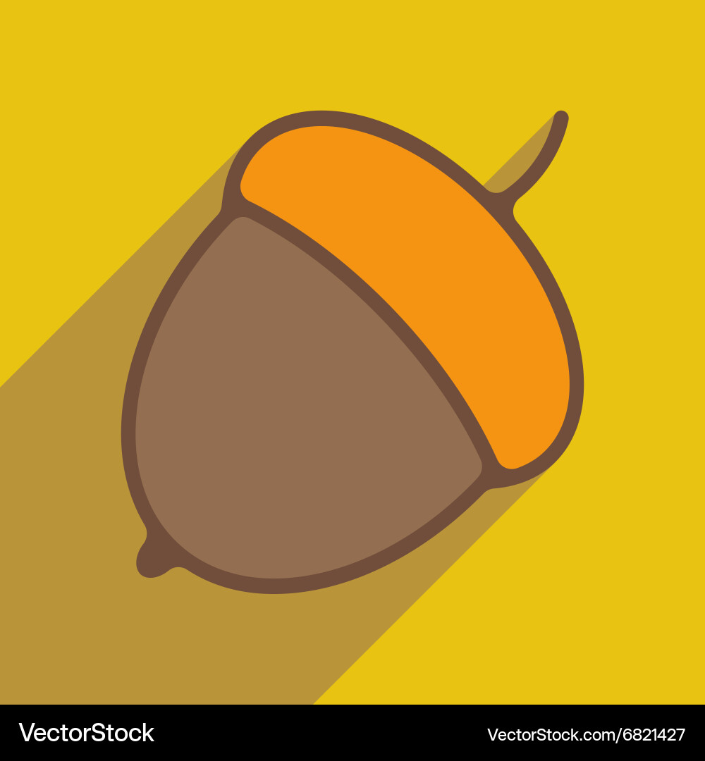 Flat with shadow icon and mobile application acorn vector image
