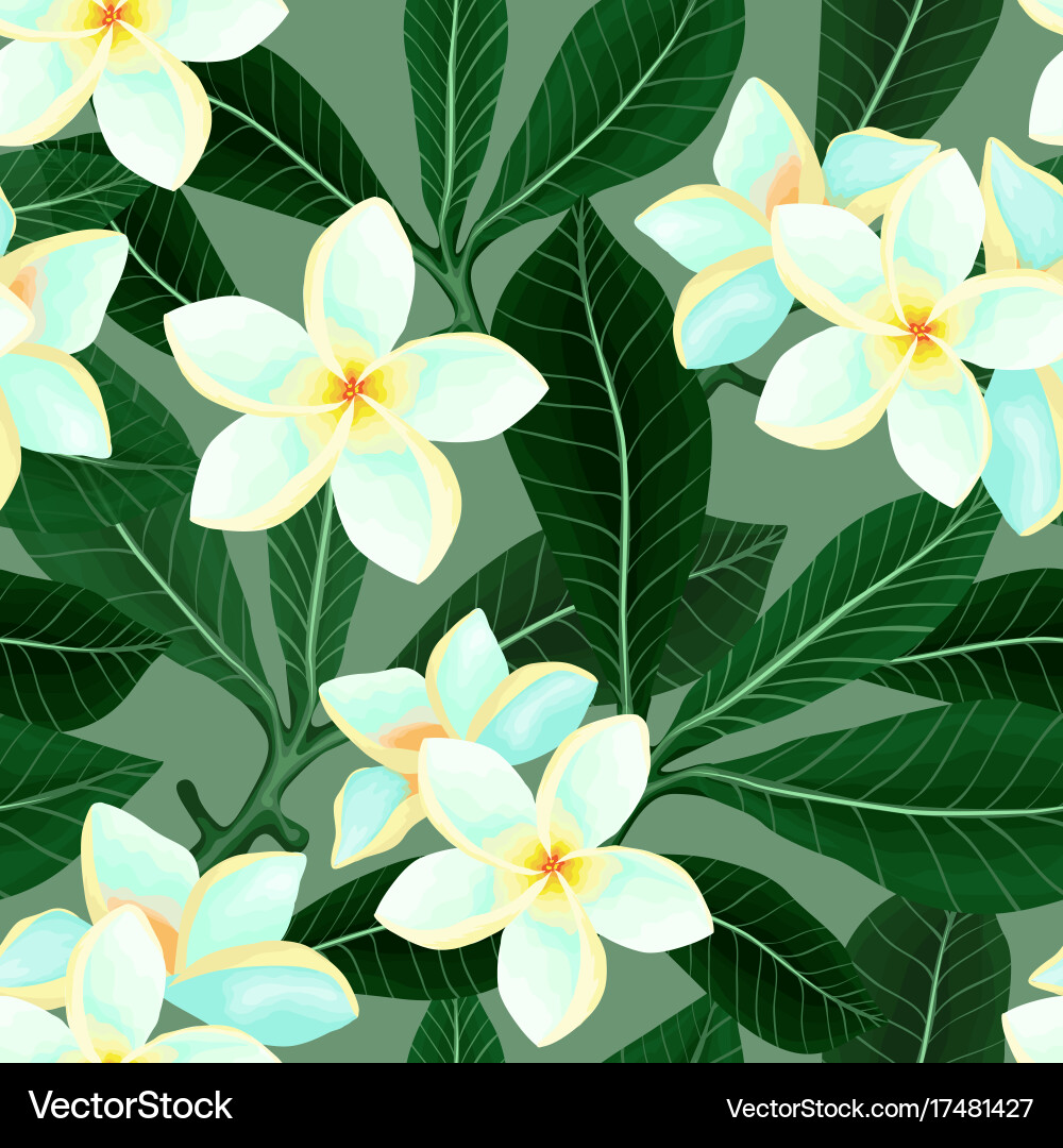 Tropical Frangipani Plumeria Flowers Pattern Vector Image