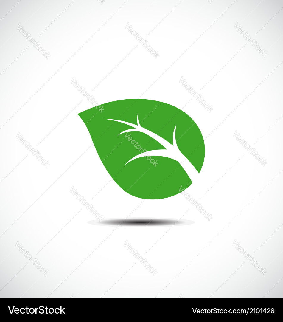 Green leaf icon Royalty Free Vector Image - VectorStock