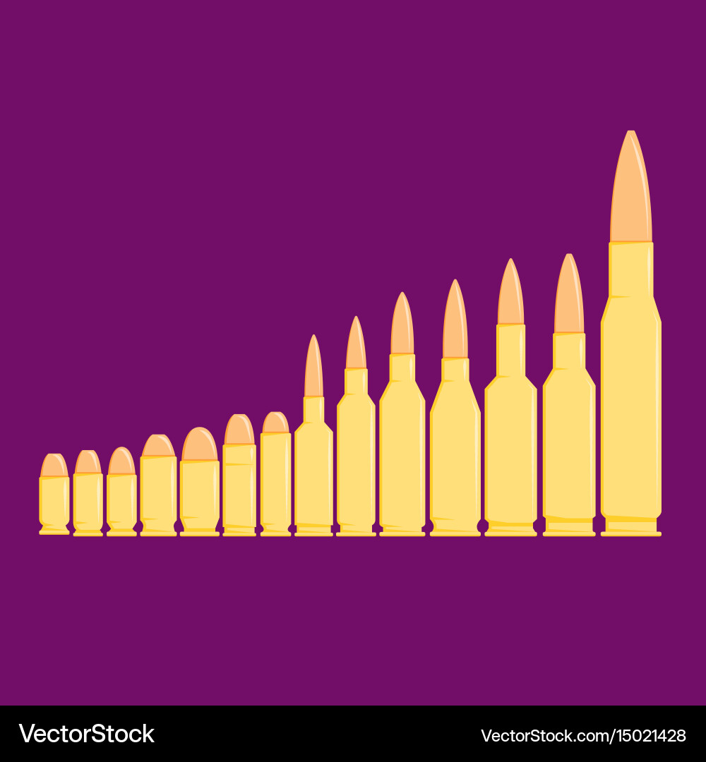 Row of Bullets in Various Calibers Vector Image
