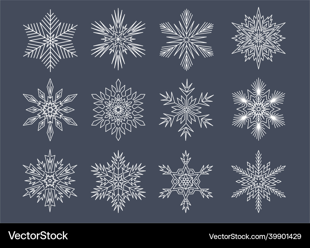 Symmetrical snowflake set star shape vector image