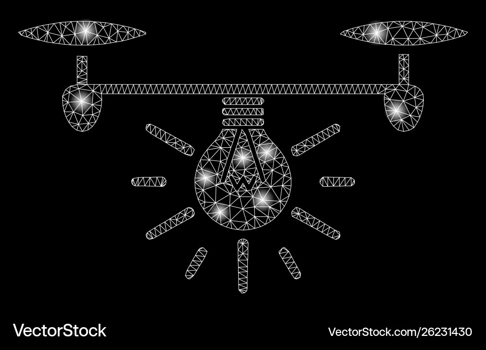 Glossy mesh network copter illumination with flash Glossy mesh network copter illumination with flash vector image