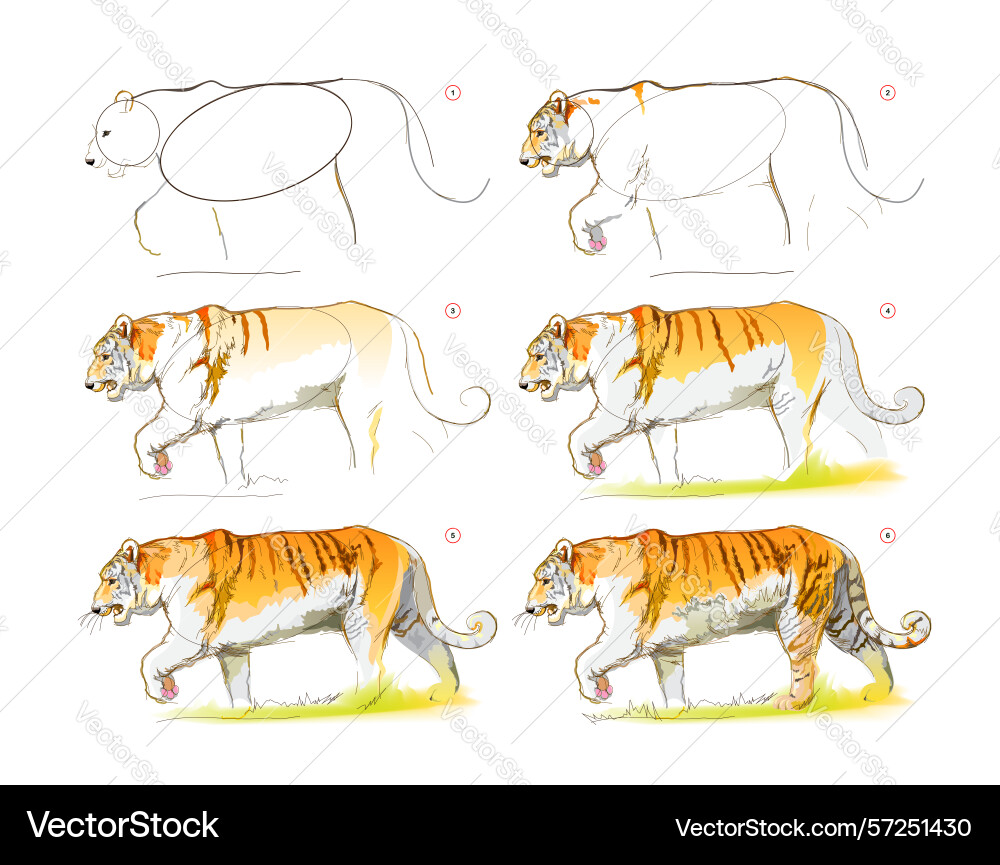 How to learn draw a sketch of an imaginary How to learn draw a sketch of an imaginary vector image