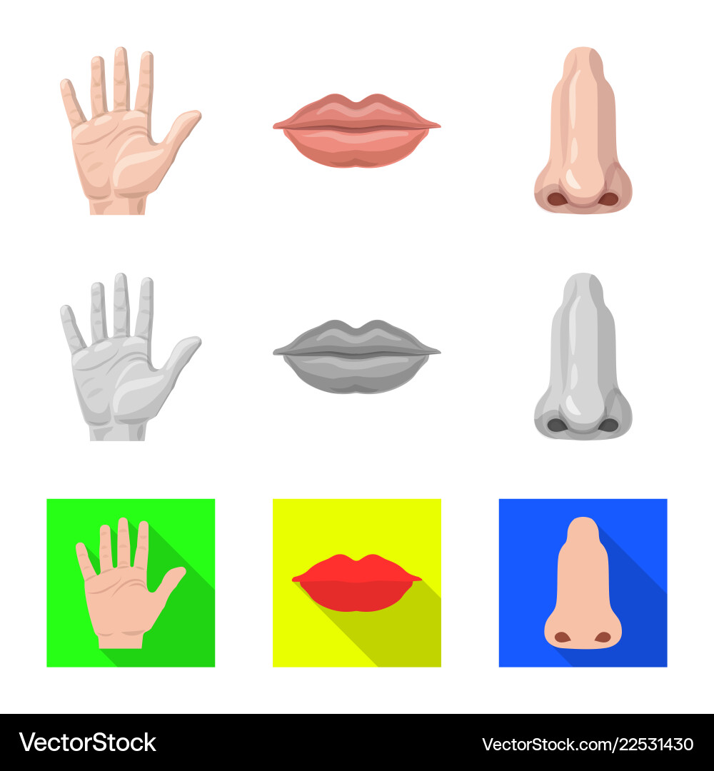 Isolated object of human and part icon collection Isolated object of human and part icon collection vector image