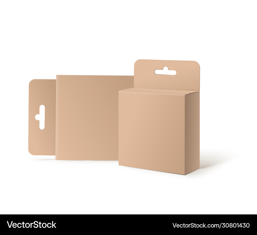 Mockup cardboard boxes with hang loop Mockup cardboard boxes with hang loop vector image