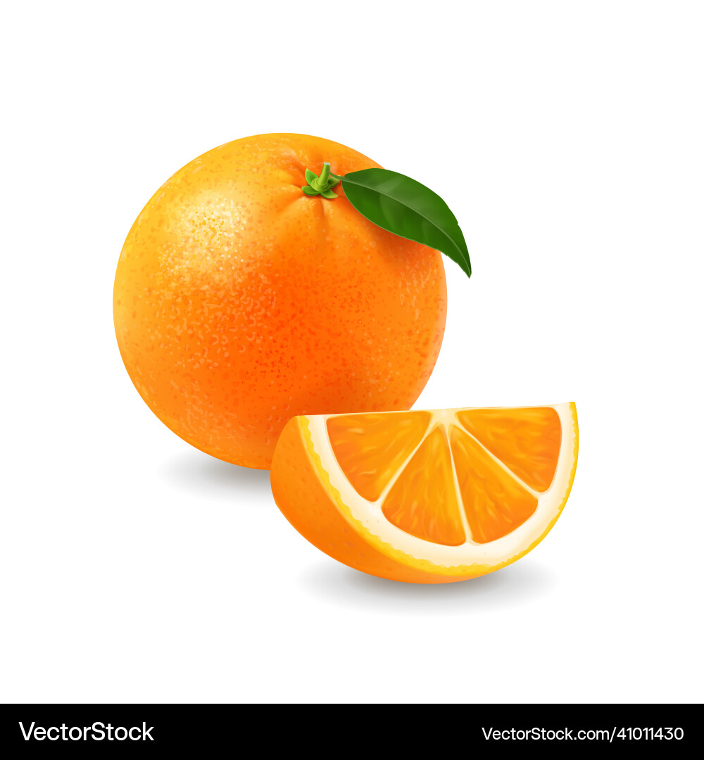 Orange fruit whole and slice with green leaf Orange fruit whole and slice with green leaf vector image