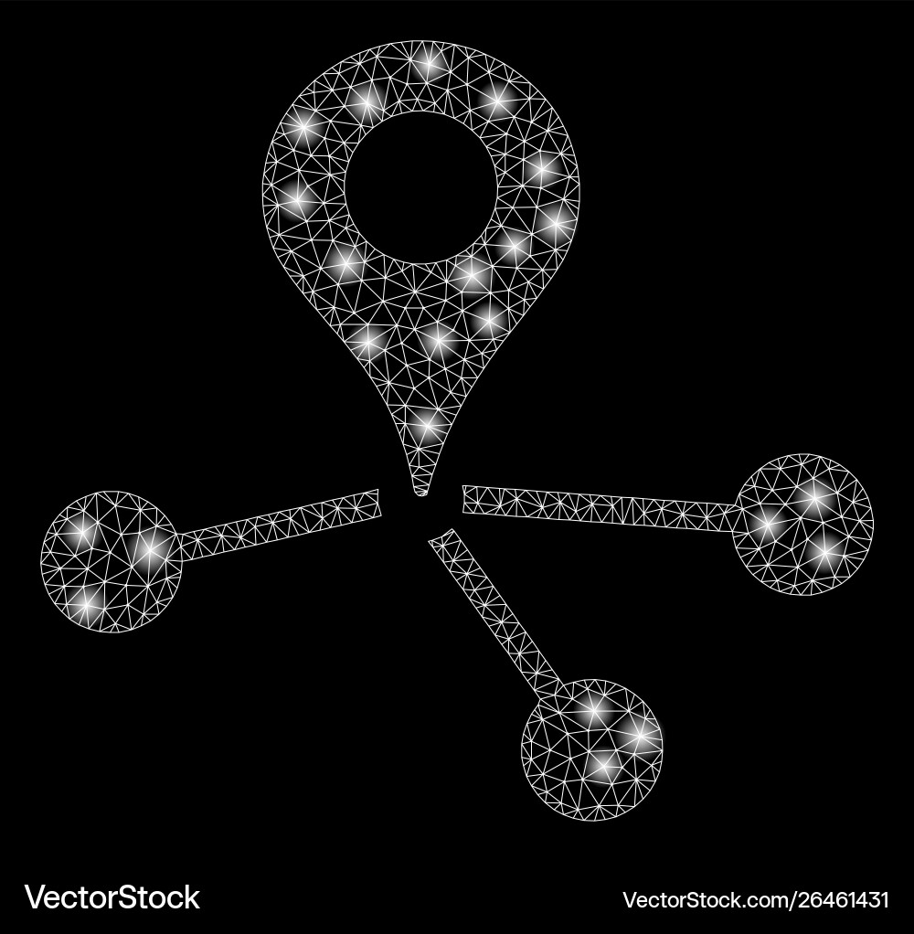 Flare mesh carcass map marker network with Flare mesh carcass map marker network with vector image
