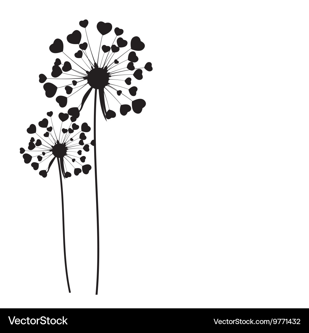 Abstract dandelion background vector image