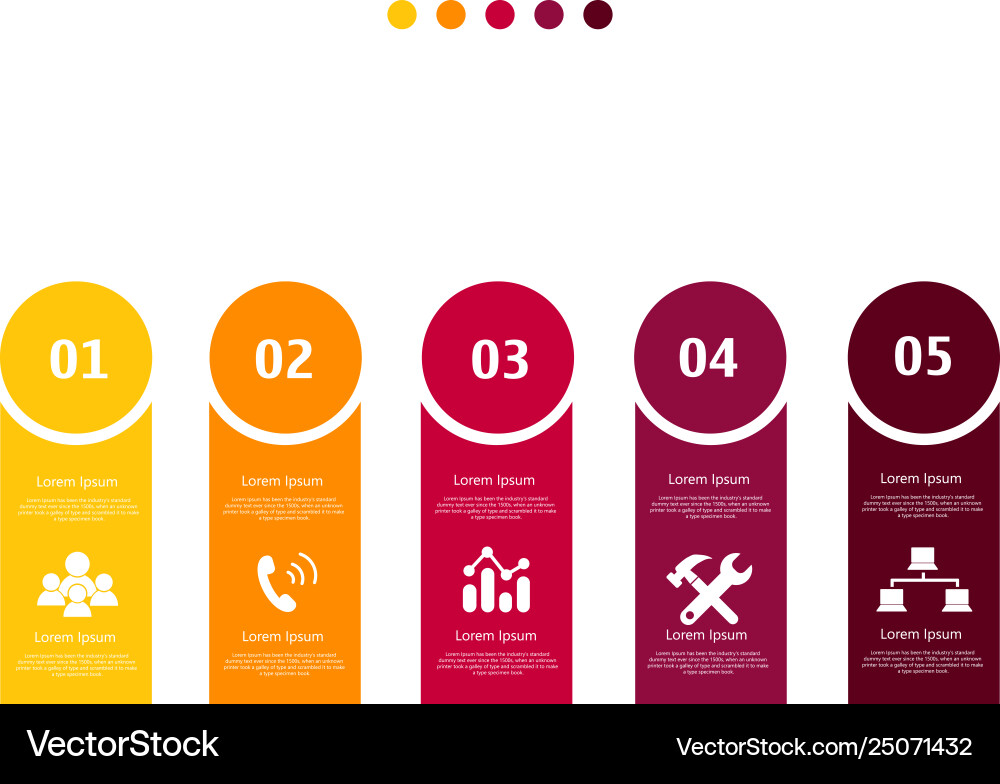 Infographic element with icons and options Vector Image