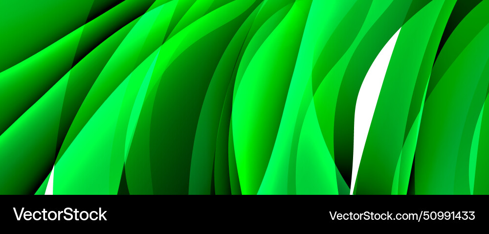 Closeup of a green plant with white stripe Closeup of a green plant with white stripe vector image