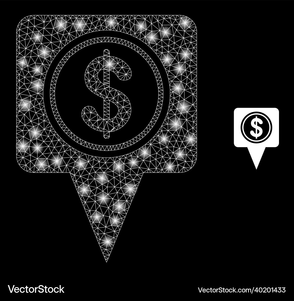 Mesh web dollar map marker with glare wire Mesh web dollar map marker with glare wire vector image