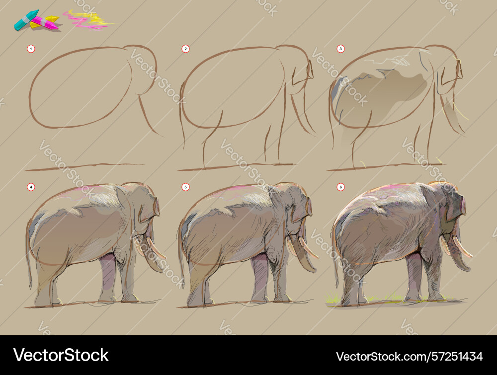 Page shows how to learn draw from life sketch Page shows how to learn draw from life sketch vector image