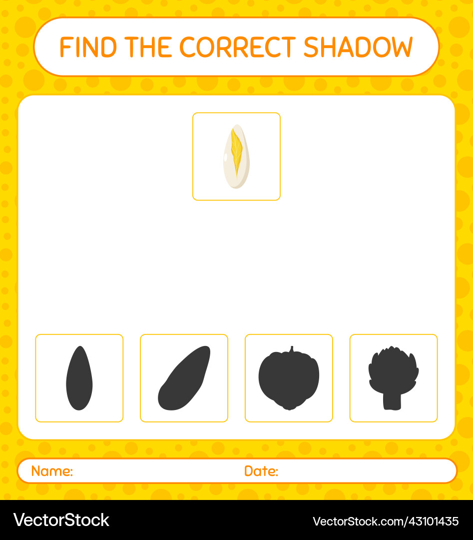 Find the correct shadows game with witloof Find the correct shadows game with witloof vector image
