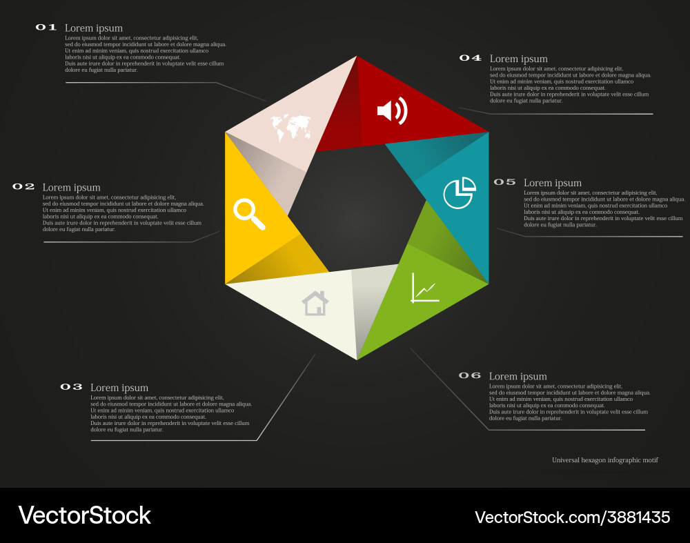 Geometric Hexagon Layout with Text Fields vector image