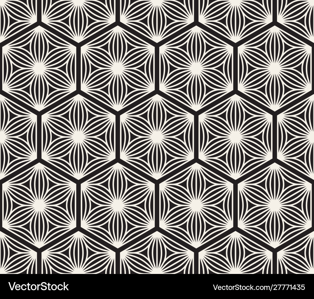 Hexagonal Geometric Pattern vector image