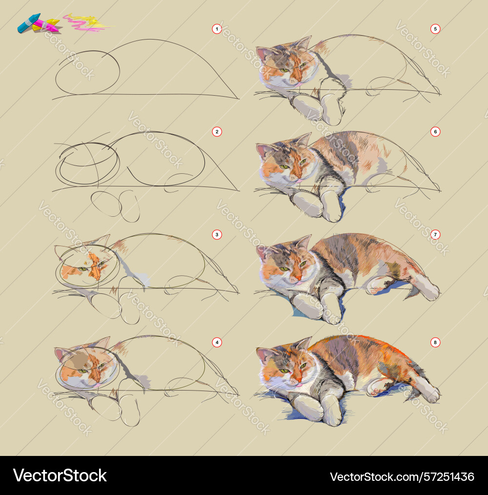 Page shows how to learn draw from life sketch Page shows how to learn draw from life sketch vector image
