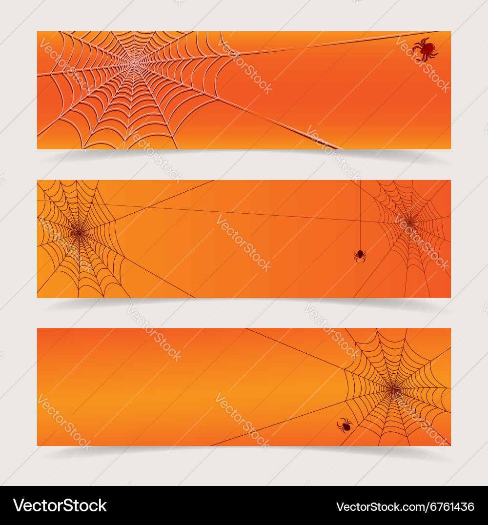 Spider web header vector image