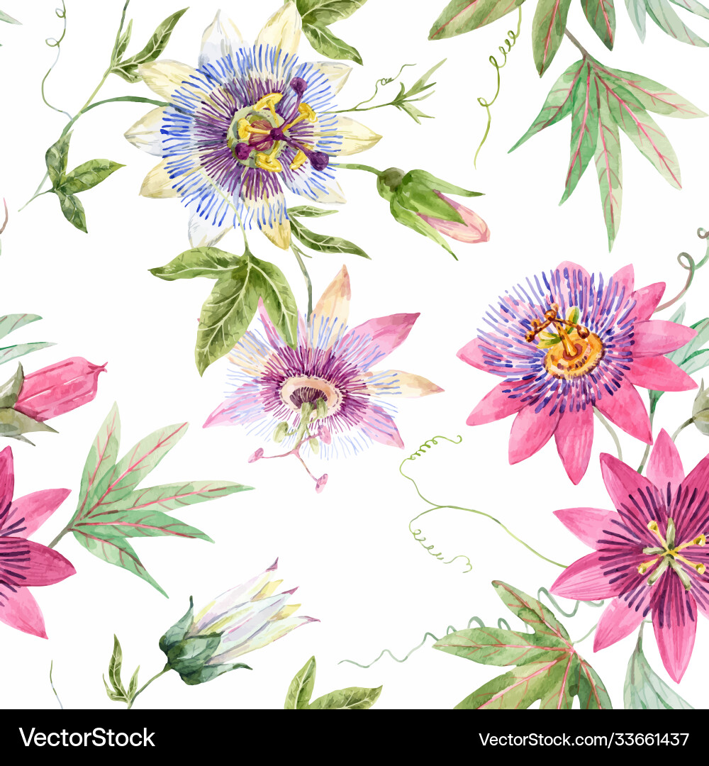 Beautiful seamless floral pattern Beautiful seamless floral pattern vector image