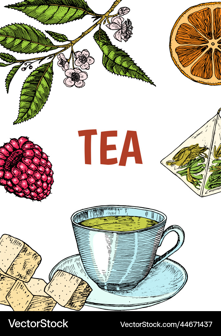 Herbal tea bag card teapot cup sugar plants Herbal tea bag card teapot cup sugar plants vector image