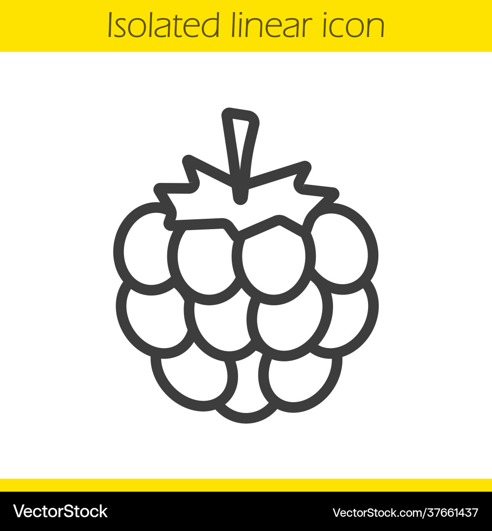 Raspberry Linear Icon - Berry Symbol Vector Image