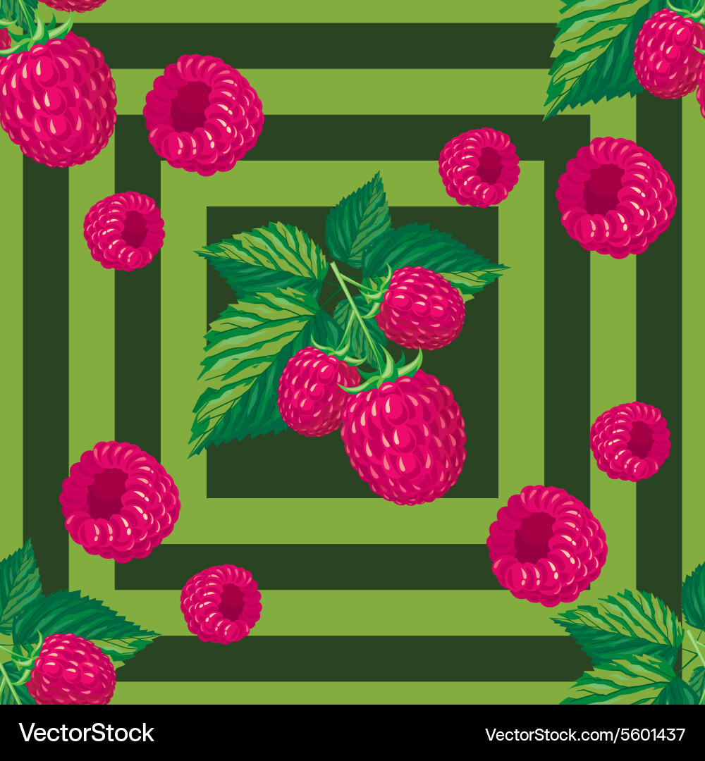 Seamless pattern with branches of raspberry vector image
