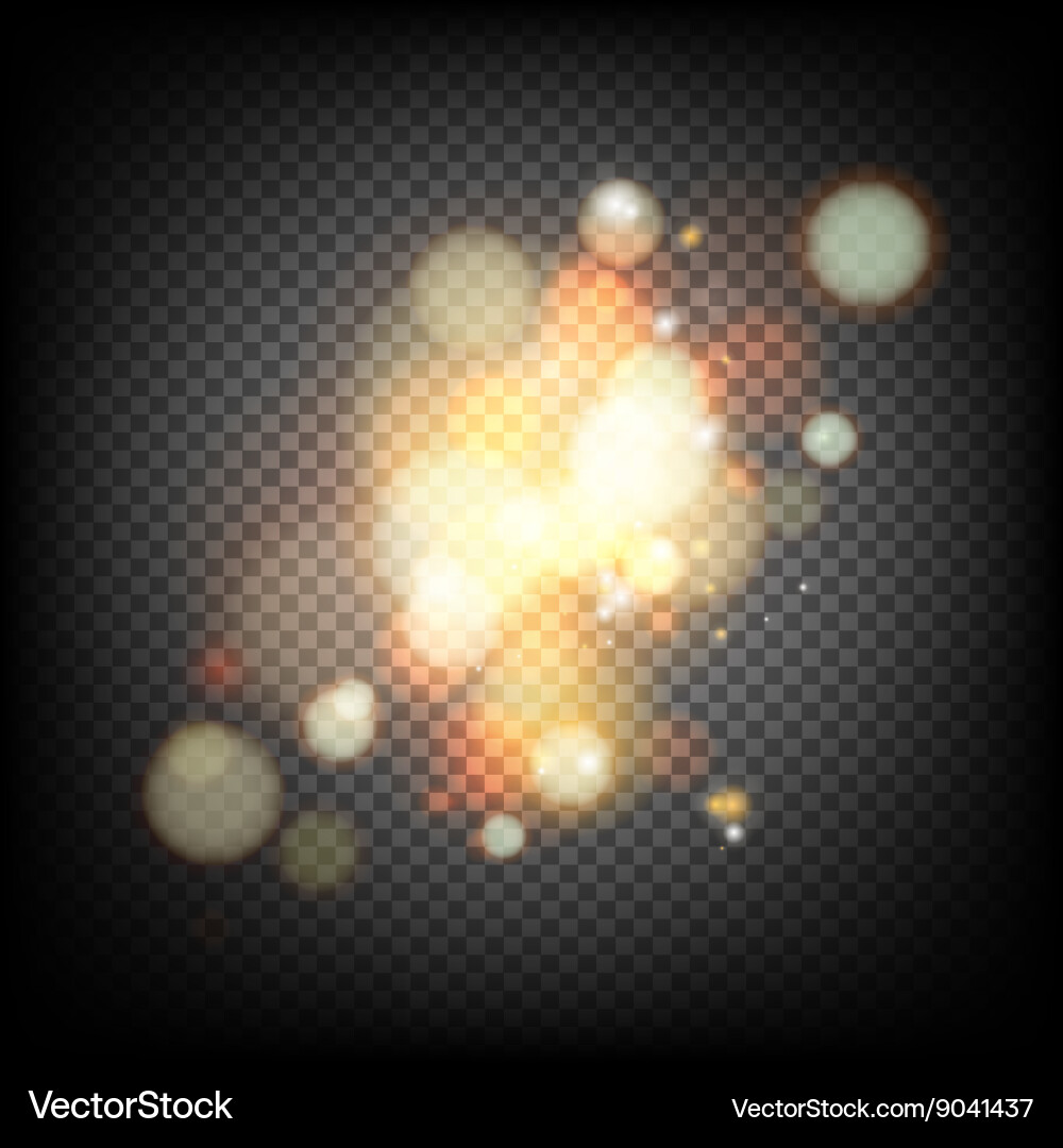 Soft bokeh and lights vector image