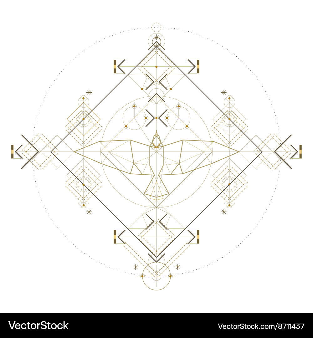 Top view of bird triangular icon vector image