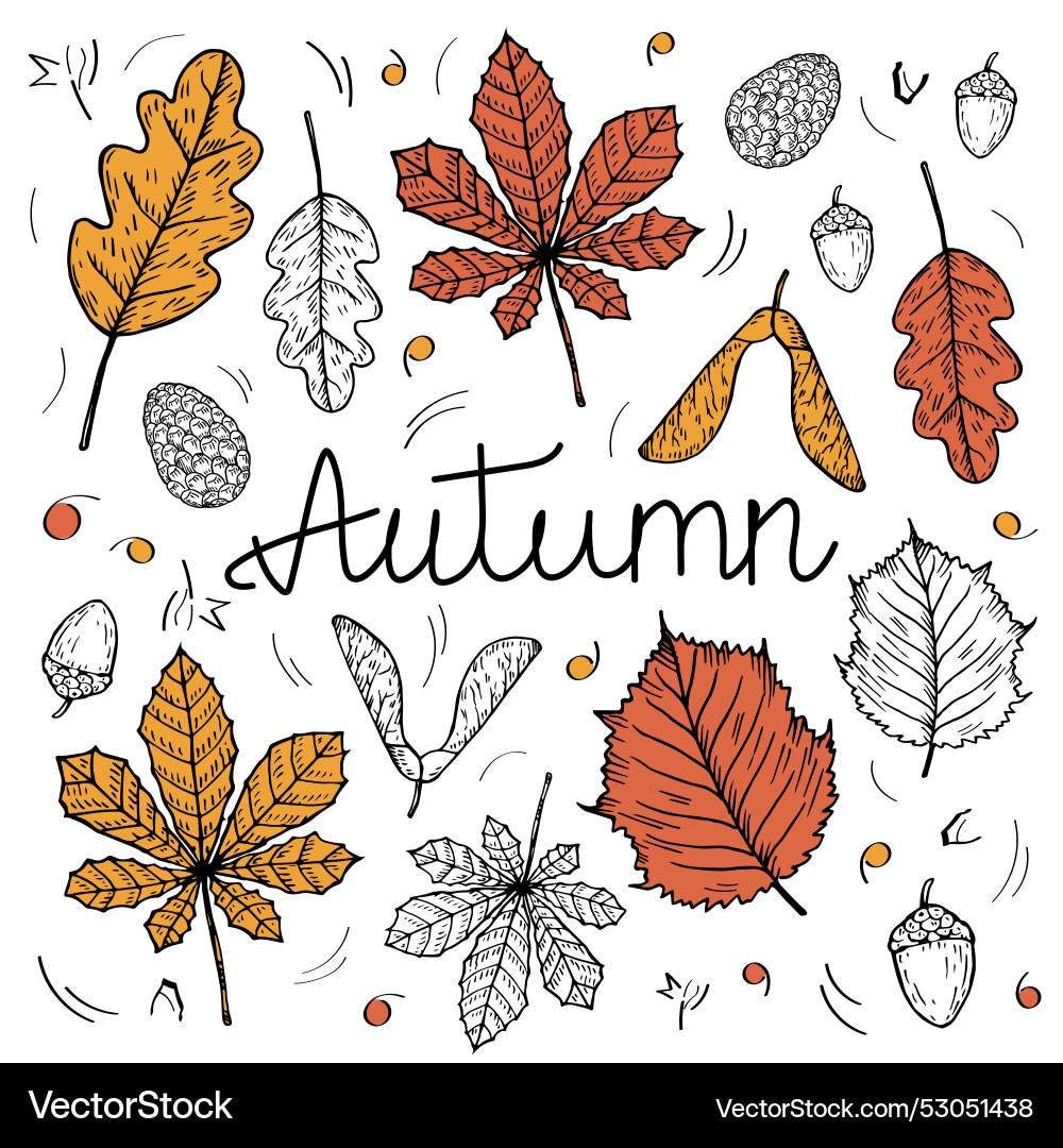 Autumn objects with text Vector Image